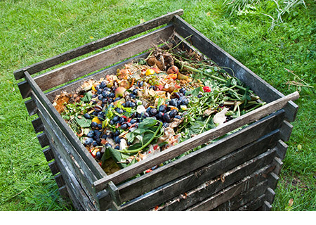 Vegetables, fruits, and other food waste in a wooden compost bin located in a back yard with green grass.