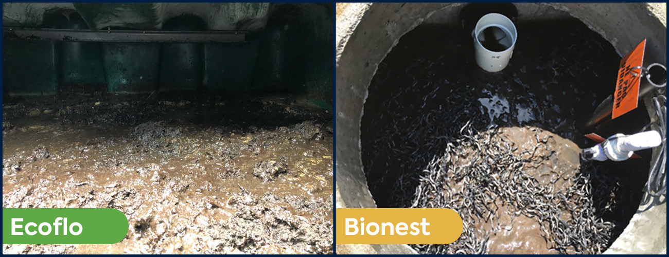 Sludge accumulations in the Ecoflo biofilter vs. Bionest-type septic systems.