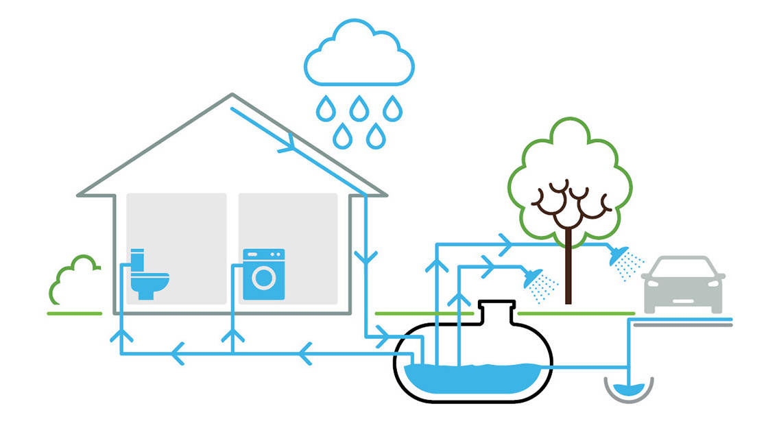 Illustration showing what harvested rainwater can be used for.