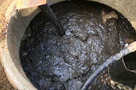 Sludge clogging the second compartment of a Bionest-type septic system. 