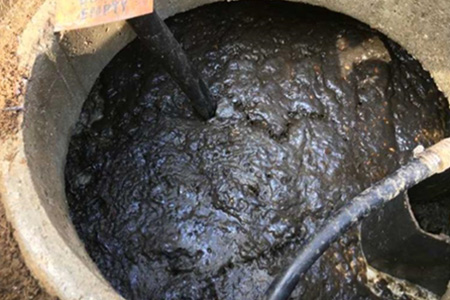 WYSIWYG_Bionest-Sludge_2_450x300 Sludge clogging the second compartment of a Bionest-type septic system.