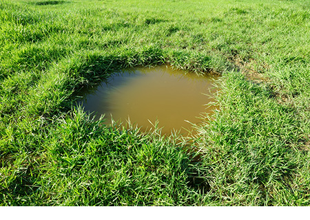 L'eau d'une installation septique qui fuit s'accumule sur le couvercle d'une fosse septique.