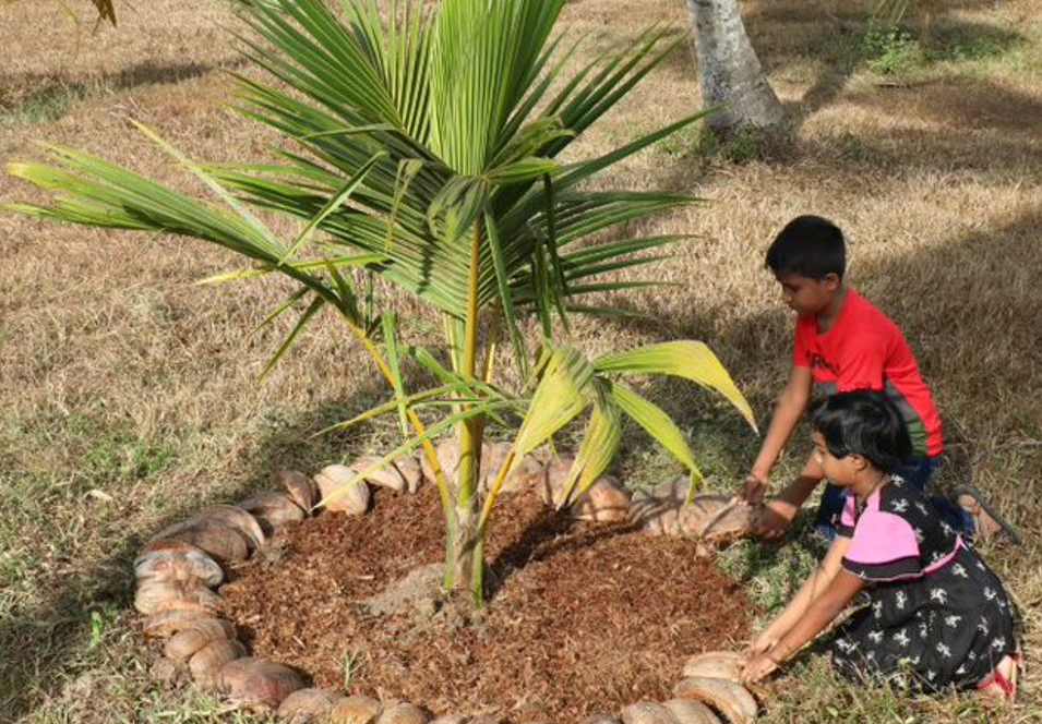Deux enfants plantent un jeune cocotier
