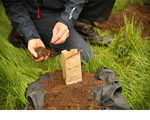 Septic designer in Ontario performing a soil test on a residential property.