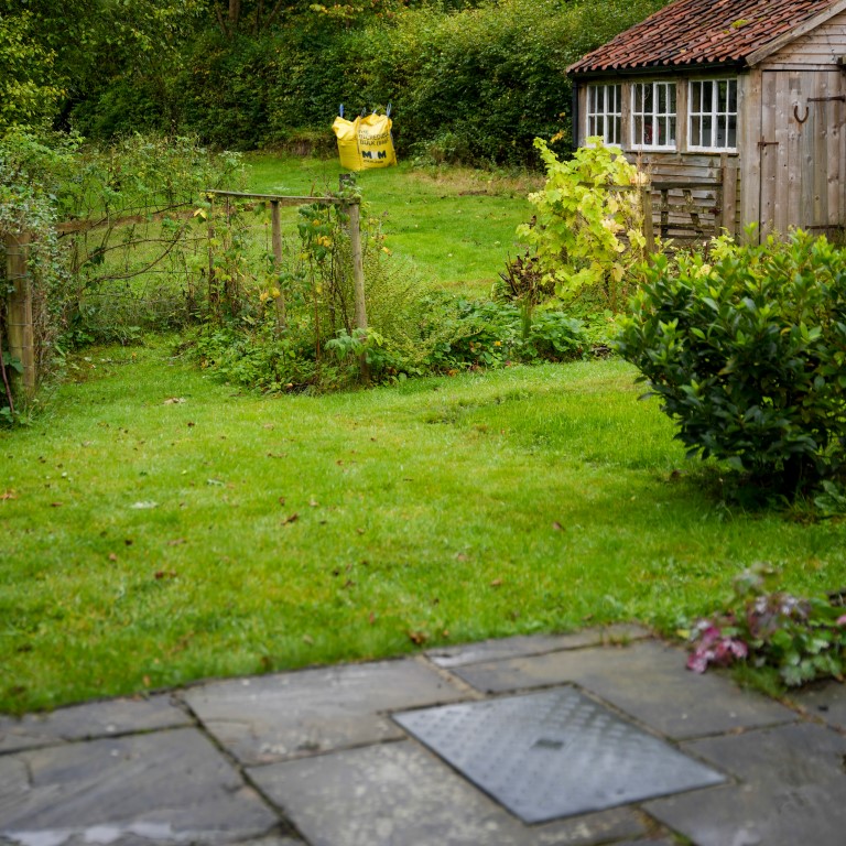 Grass growing on a septic system installation area.