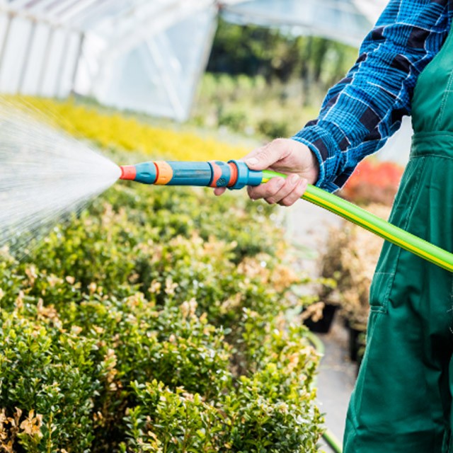 man watering his greenhouse