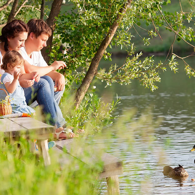 De jeunes parents et leur fille pique-niquent et nourrissent les canards sur la rive d'une rivière ou d'un lac.