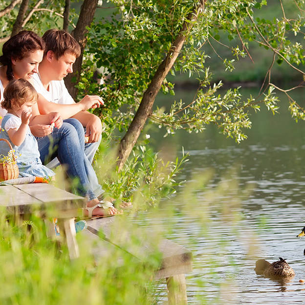 Young parents and their daughter having a picnic and feeding ducks on the green shore of a river or lake.