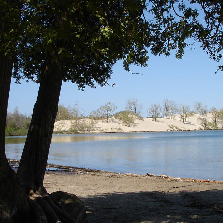 Beach at Sandbanks Provincial Park, Ontario.