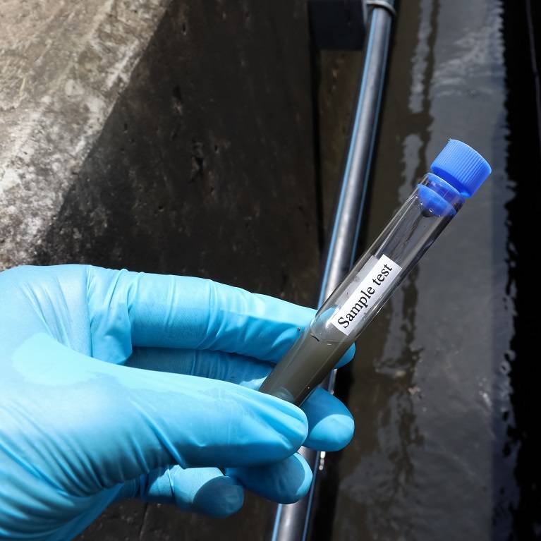 Wastewater sampling test
