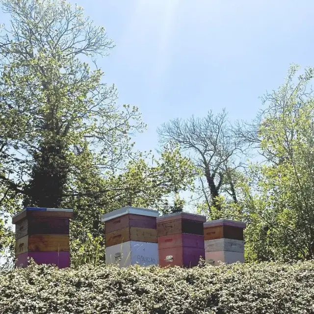 engagement Biodiversité 