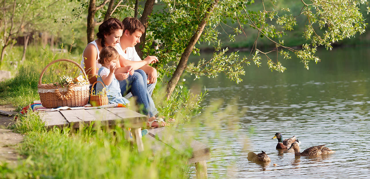 Pais jovens e a sua filha fazem um piquenique e alimentam os patos na margem verde de um rio ou lago.