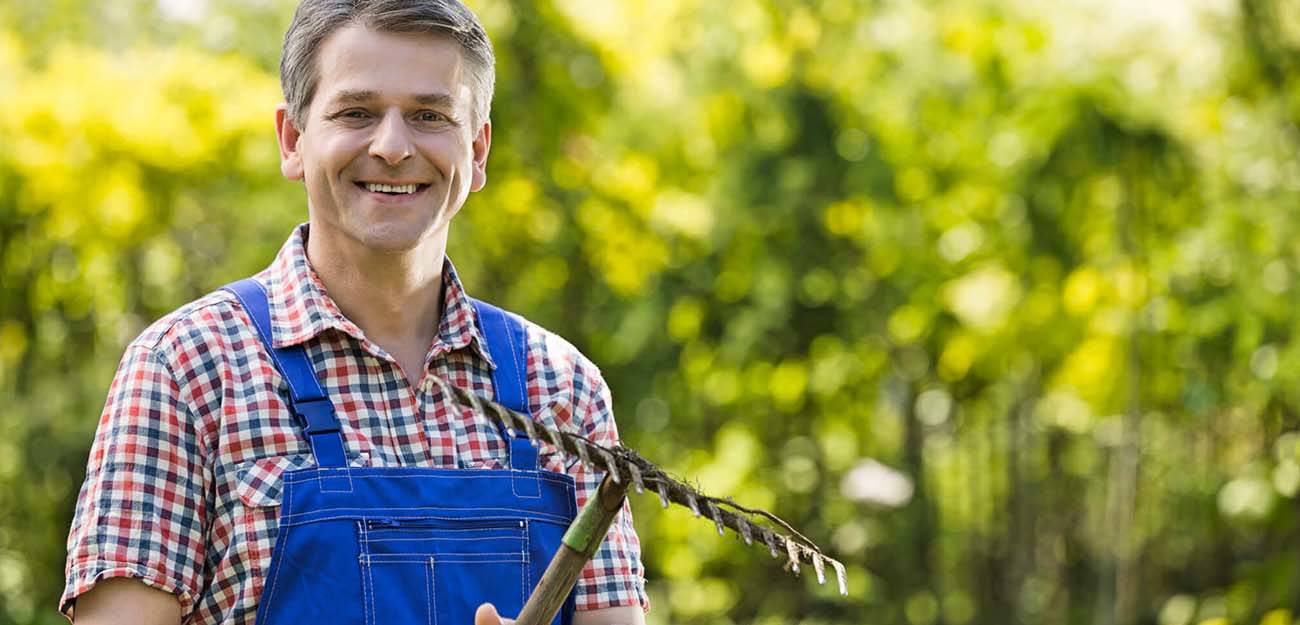 Aménager son jardin avec un assainissement autonome