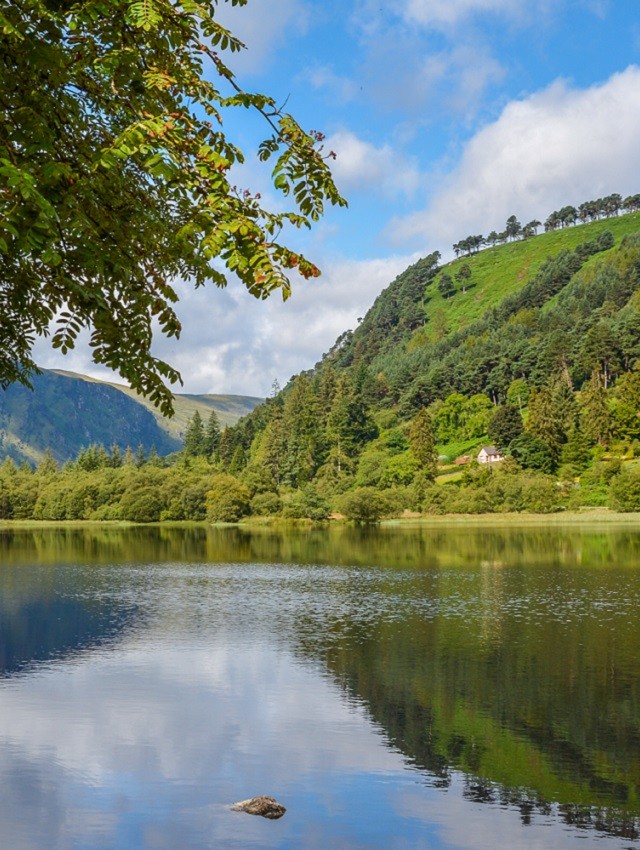 Trees and lake on a sunny day in Ireland 