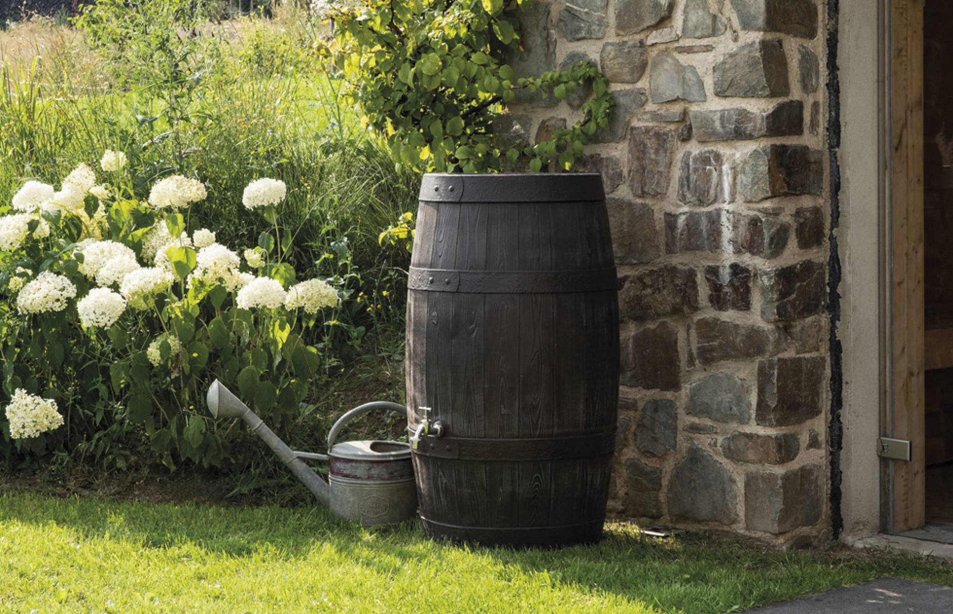 Design-Regentonne im Garten