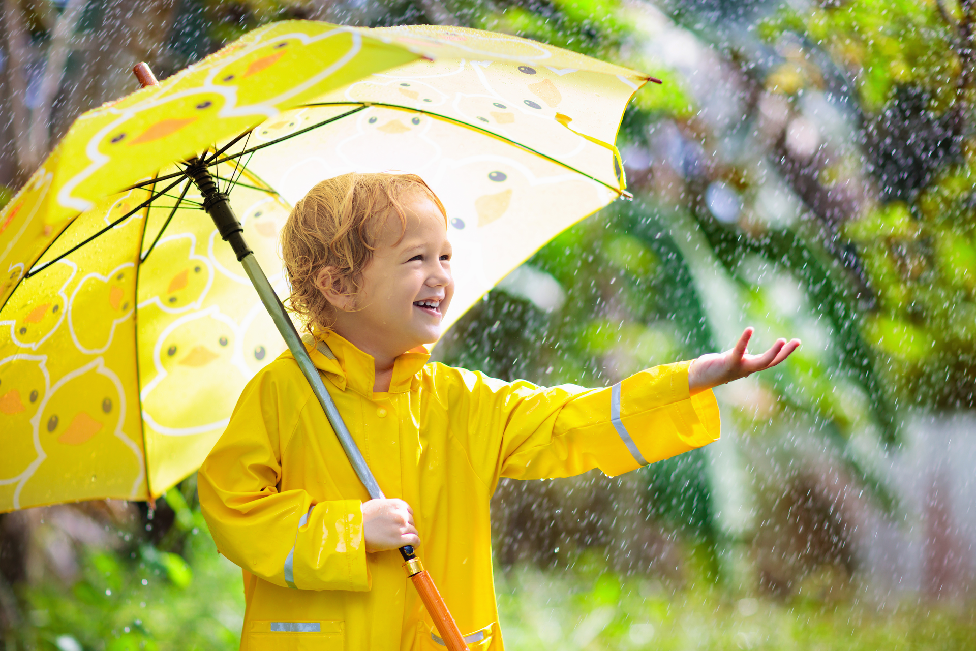 Récupérateur d'eau de pluie gratuit ? Vos aides financières