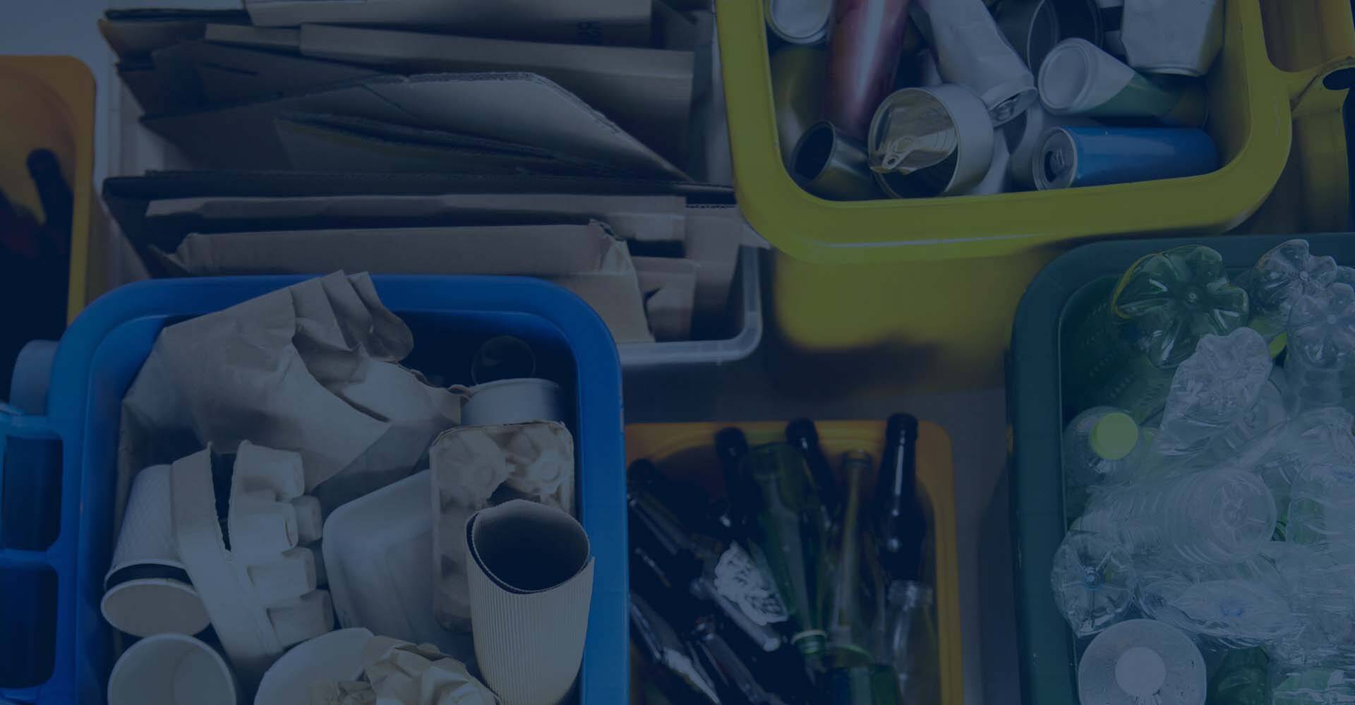Reciclaje que ha sido clasificado en contenedores.
