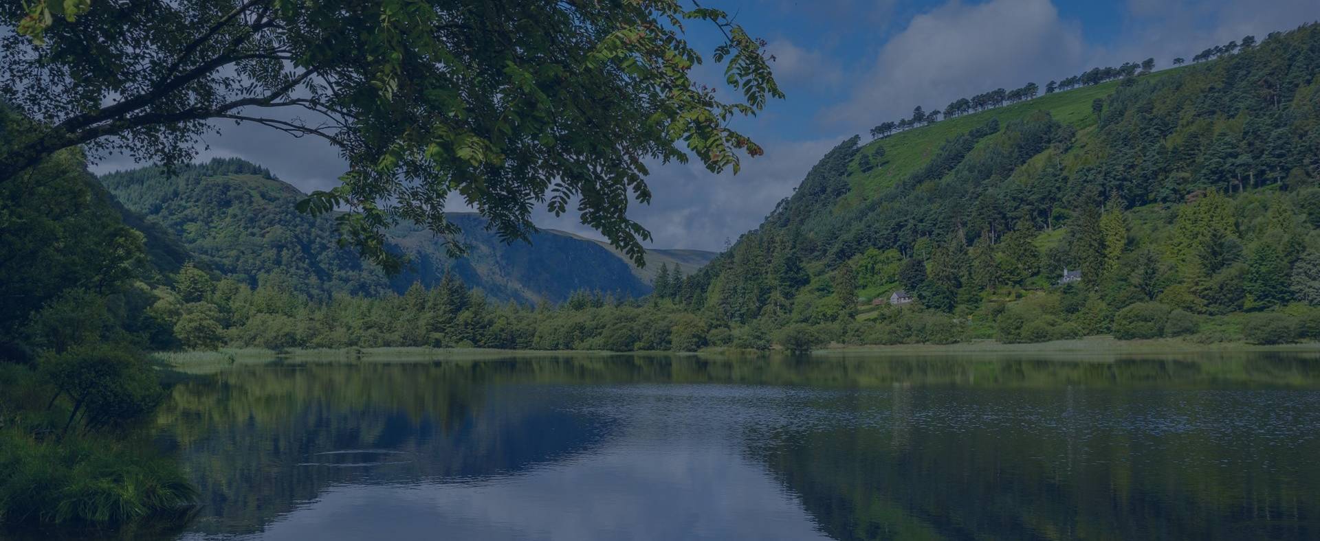 Trees and lake on a sunny day in Ireland