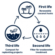 BLOG_Cycle-coco_WW-EN_300x300.jpg sustainable life cycle of coconut husk fragments for wastewater treatment
