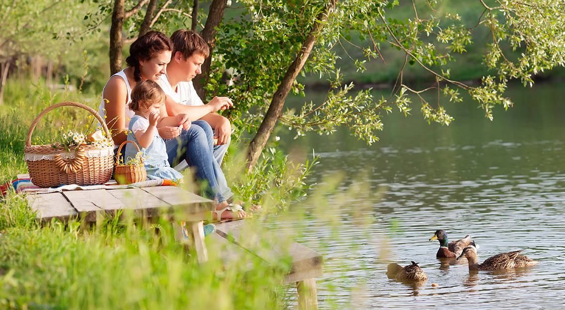 Pais jovens e a sua filha fazem um piquenique e alimentam os patos na margem verde de um rio ou lago.