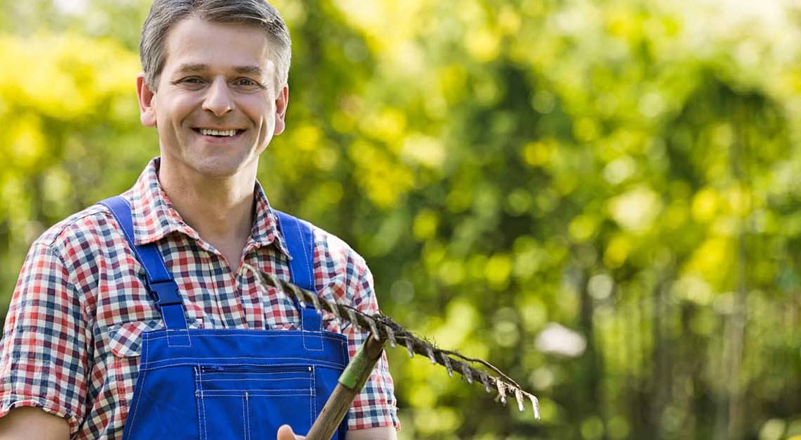 Aménager son jardin avec un assainissement autonome