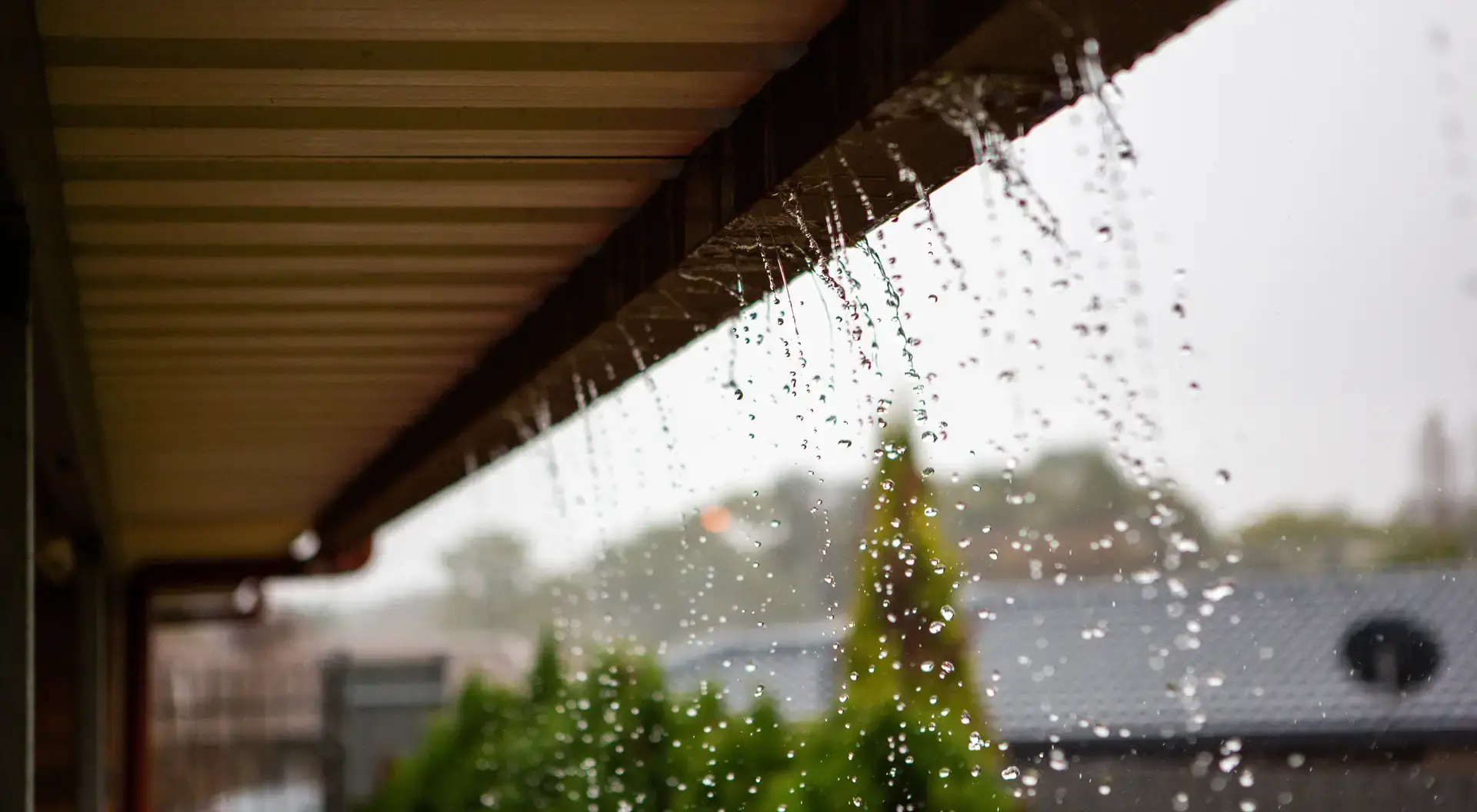 récupération eau de pluie