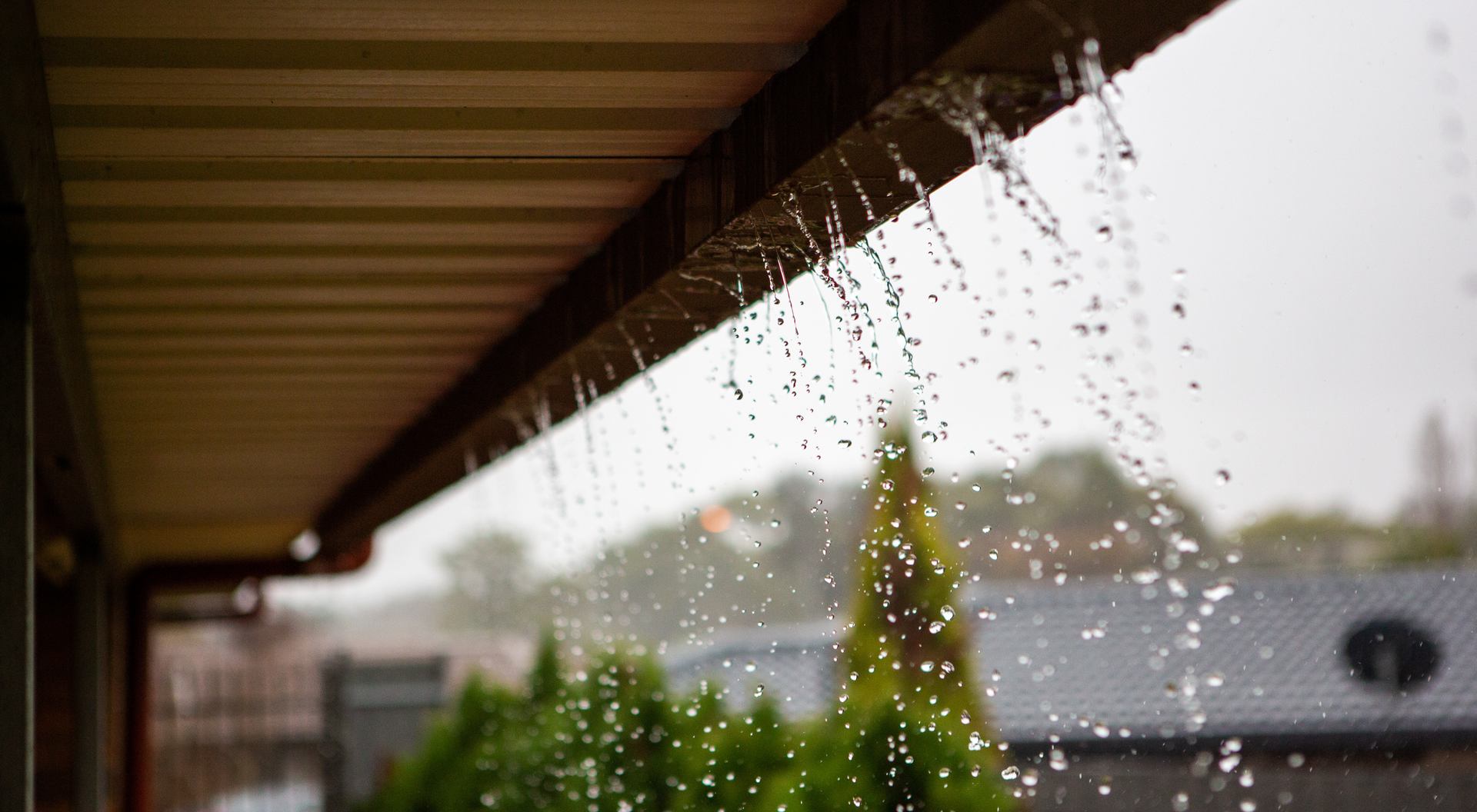 récupération eau de pluie