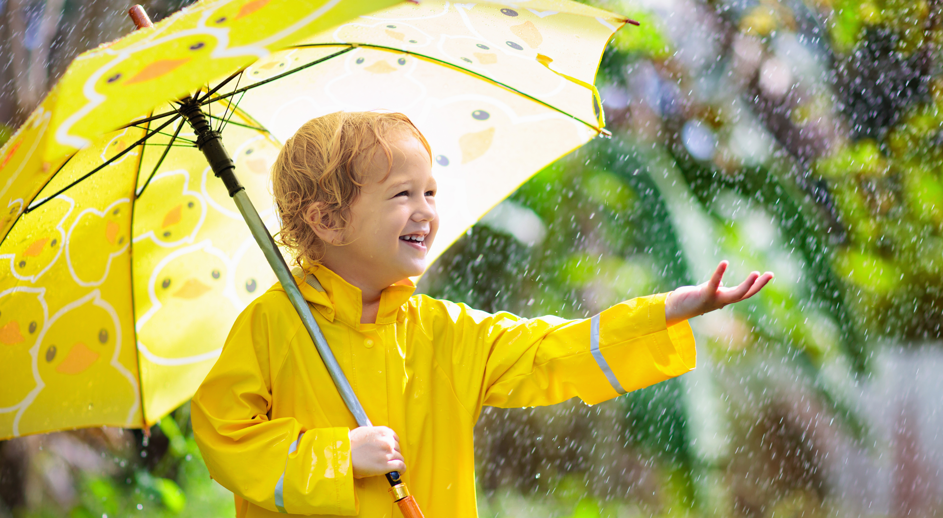 Aide récupérateur eau de pluie