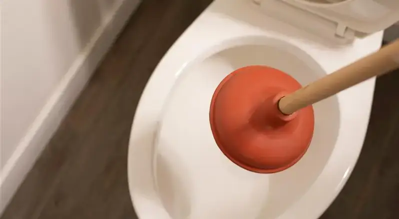 Blocked drain in a toilet.
