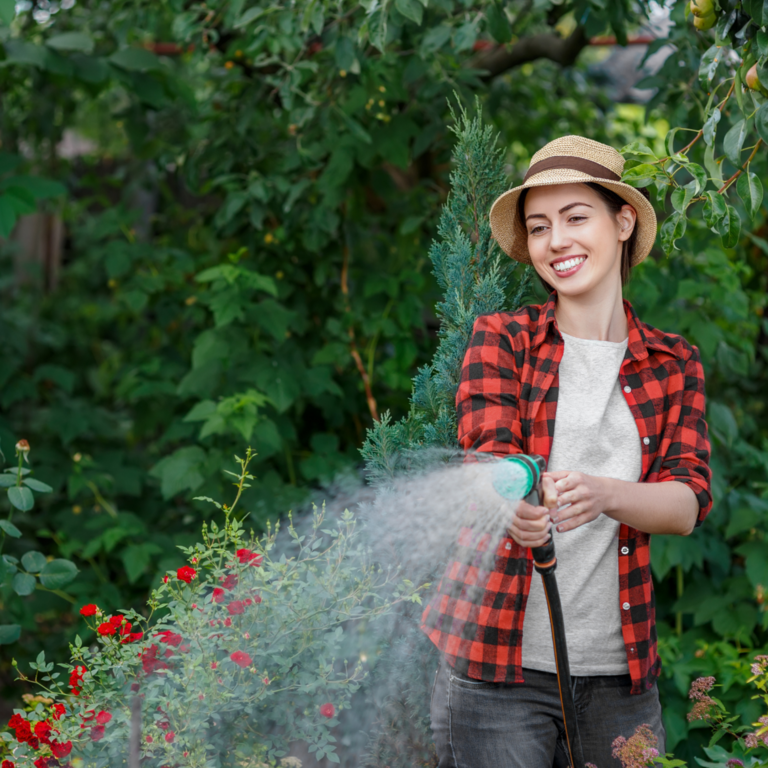 Regenwasser zum Gießen von Gartenpflanzen nutzen.