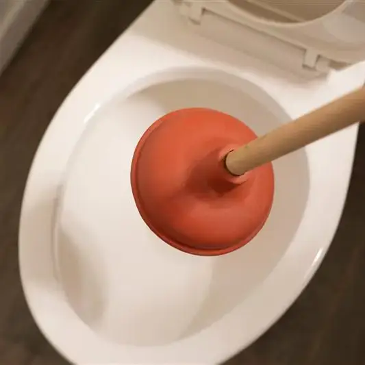 Blocked drain in a toilet.