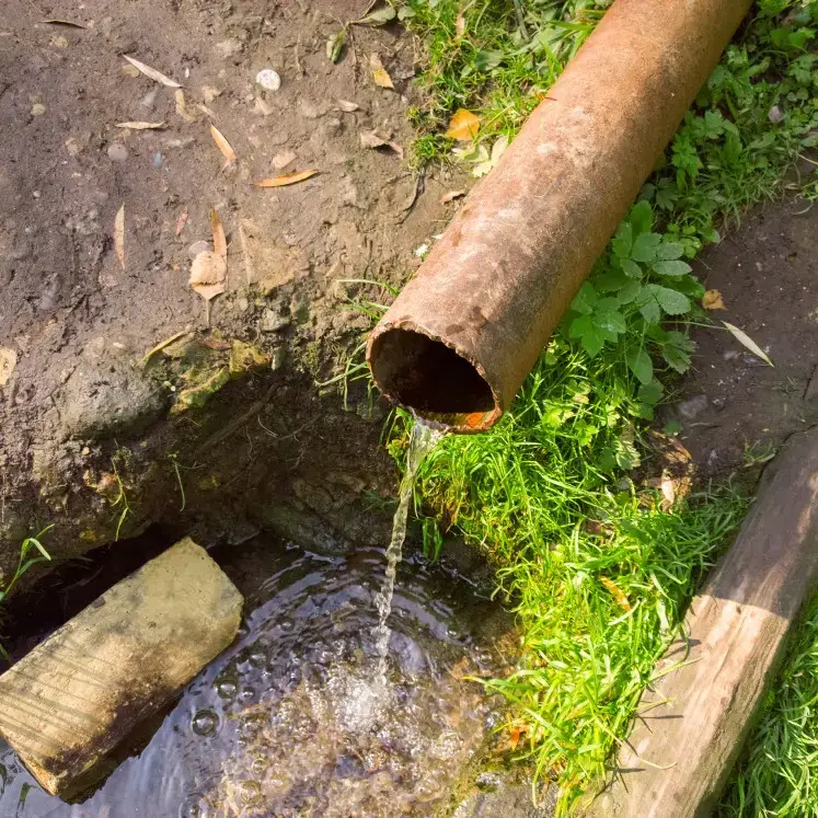 Wastewater from a septic tank discharging directly to surface water.