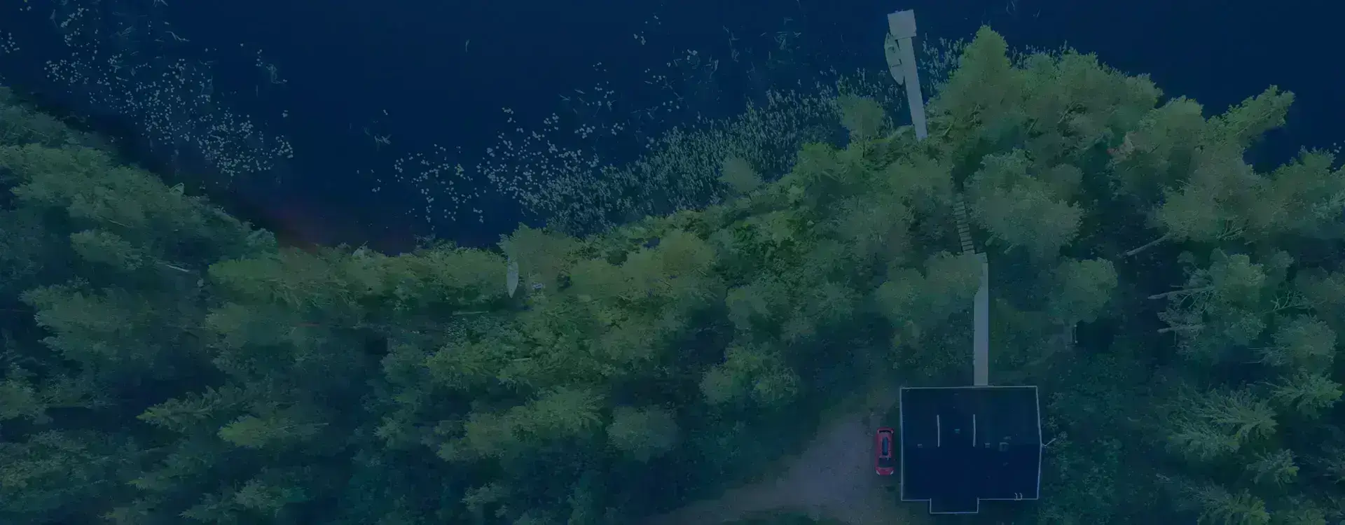 Cabin in a forest near the water.