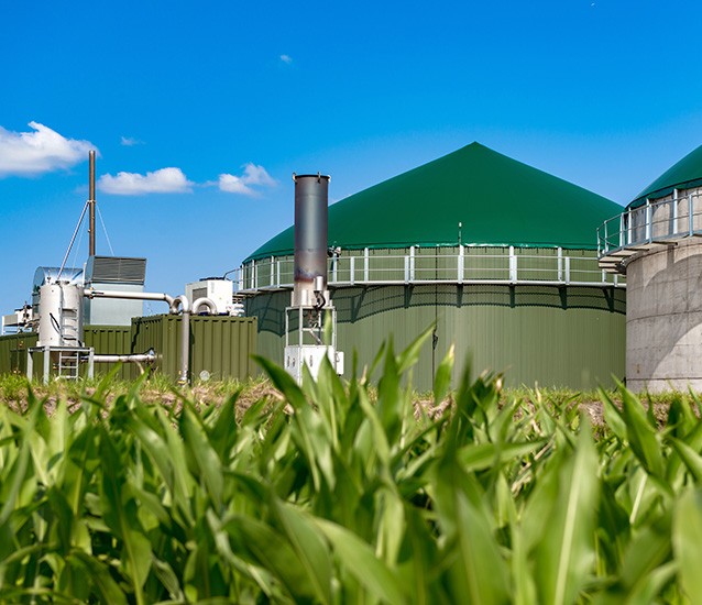 Domed roof of the anaerobic digester in a biogas processing plant behind a field of corn.
