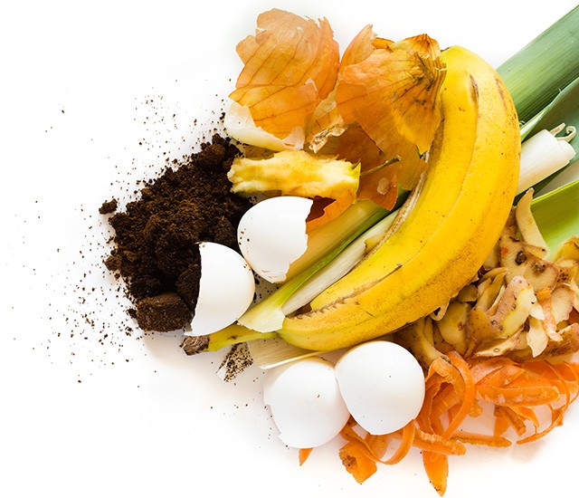 Organic waste, including banana peels, carrot peels, apple cores, and eggshells.