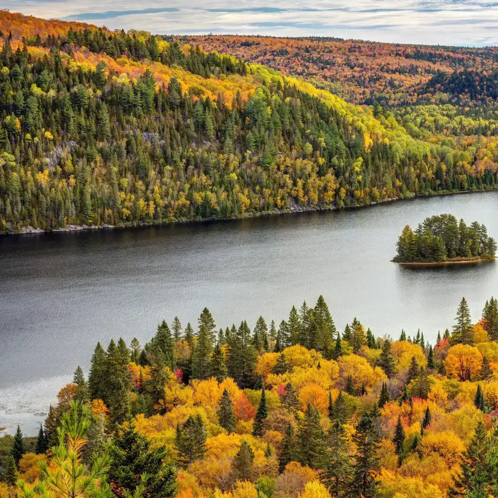 Fluss in einem Wald im Herbst.